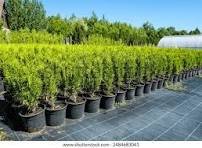 Plant nursery, Horticulturists image